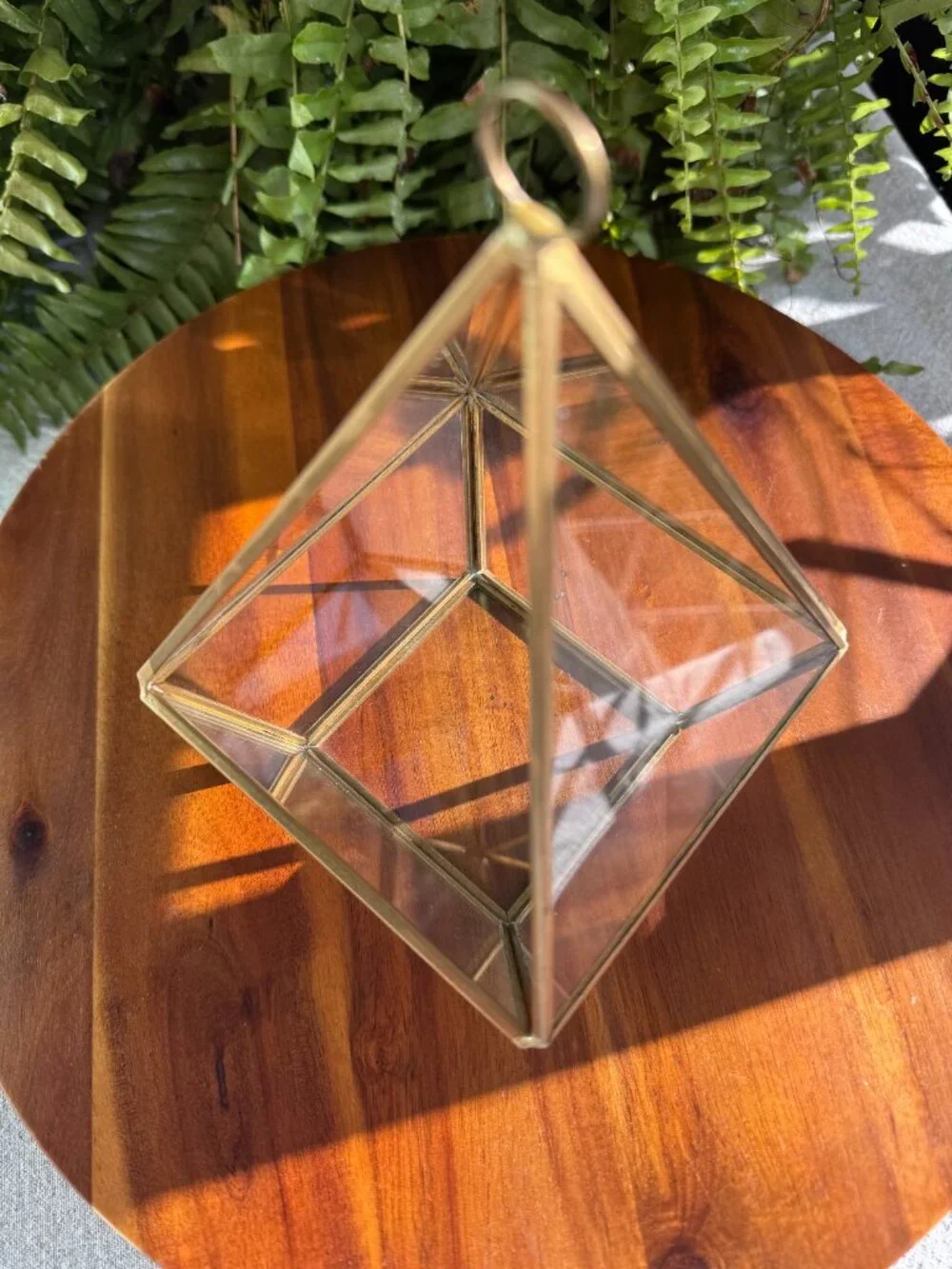 Geometric Glass Brass Planter, Tall Terrarium Container for Plants with Hook